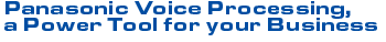 Voice Processing Systems